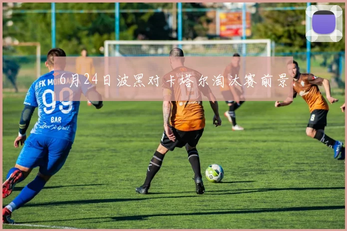6月24日波黑对卡塔尔淘汰赛前景