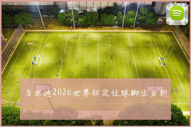 马尔迪2026世界杯定位球脚法分析