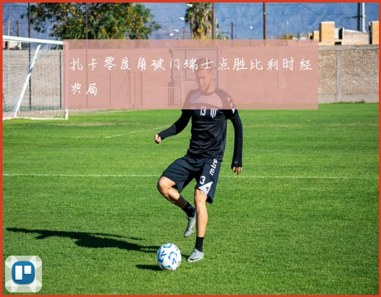 扎卡零度角破门瑞士点胜比利时经典局
