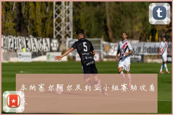 本纳塞尔阿尔及利亚小组赛助攻看点