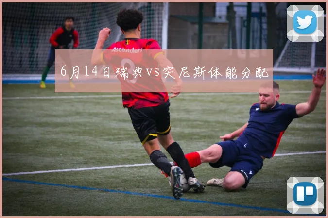 6月14日瑞典vs突尼斯体能分配