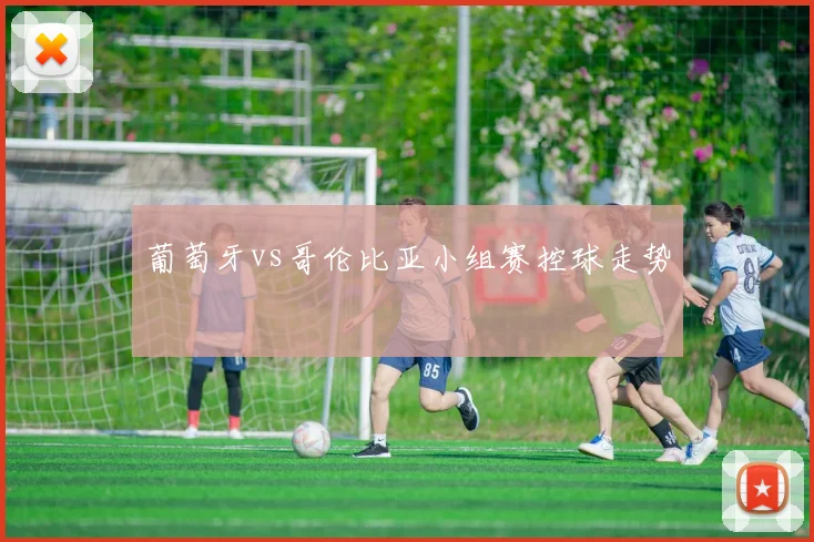 葡萄牙vs哥伦比亚小组赛控球走势