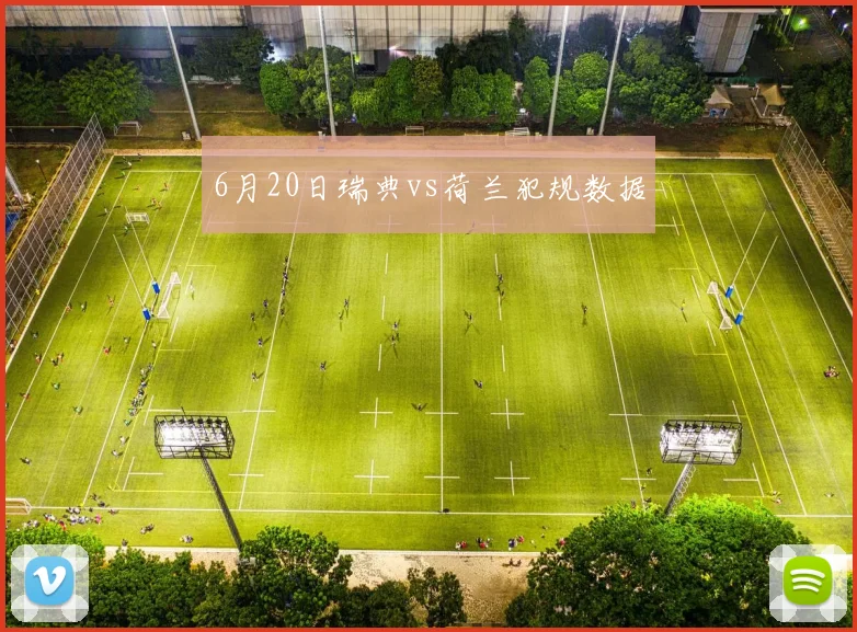 6月20日瑞典vs荷兰犯规数据
